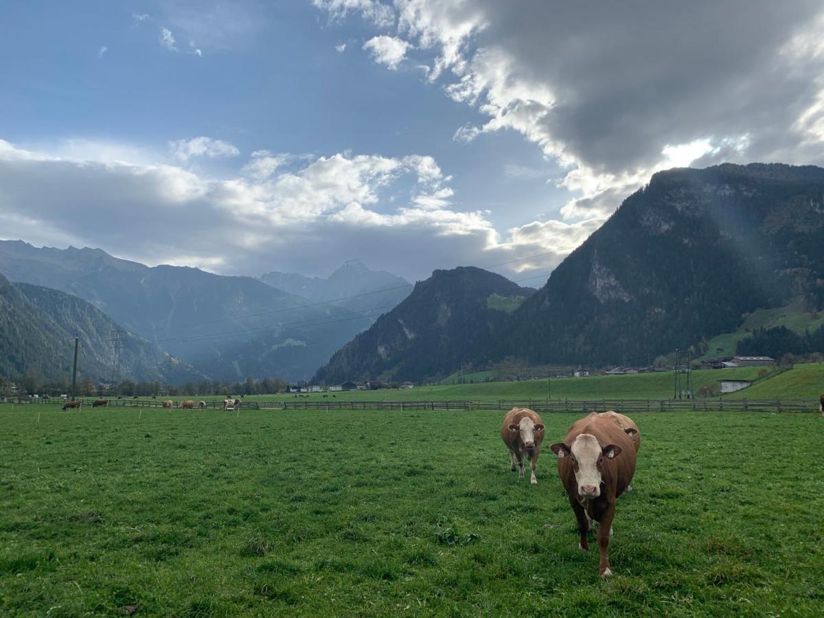 Alpen-Apart Schwendau Dış mekan fotoğraf